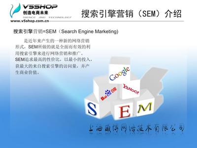 广告策划 搜索引擎营销（SEM）推广方案